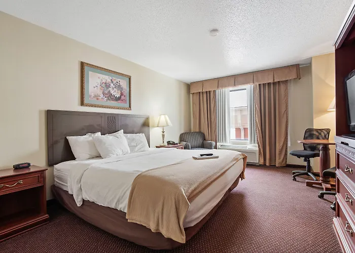 Stay Usa Hotel And Suites